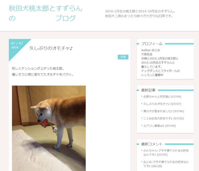 秋田犬のブログが世界中で大流行！人気の理由はモフモフの毛並みとおっとりした性格にあった！ poppet（ポペット