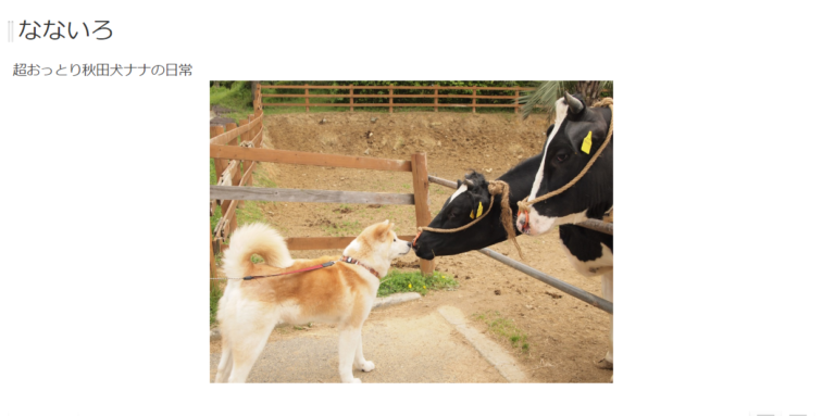 秋田犬のブログが世界中で大流行！人気の理由はモフモフの毛並みとおっとりした性格にあった！ poppet（ポペット