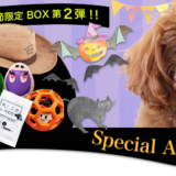 防災から愛犬の命を守る「スペシャルオータムボックス」を2018年9月1日「防災の日」より発売開始