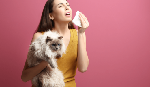 猫といるとアレルギー症状が出る場合はどうすればいい？主な対処法3つ！