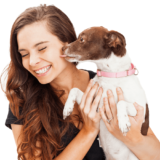 犬、癒し