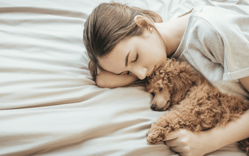 犬と一緒にベッドで寝る方法