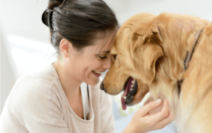 育犬ノイローゼは誰でもなる？犬を飼うことで陥る症状や原因、育犬ノイローゼの克服法は？