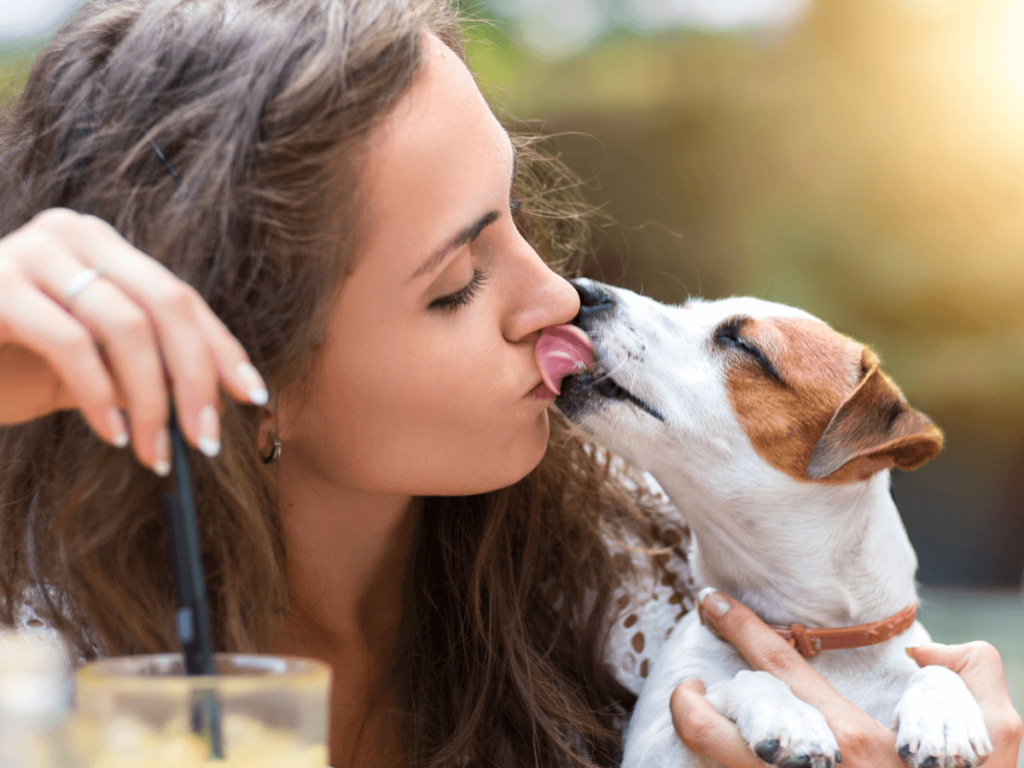 大阪にあるドッグカフェ人気でおしゃれな6選 犬と触れ合えるイベントも紹介 Poppet ポペット ペット大好き