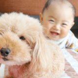 赤ちゃんと犬は一緒に暮らしても大丈夫？一緒にいることのメリットと注意点
