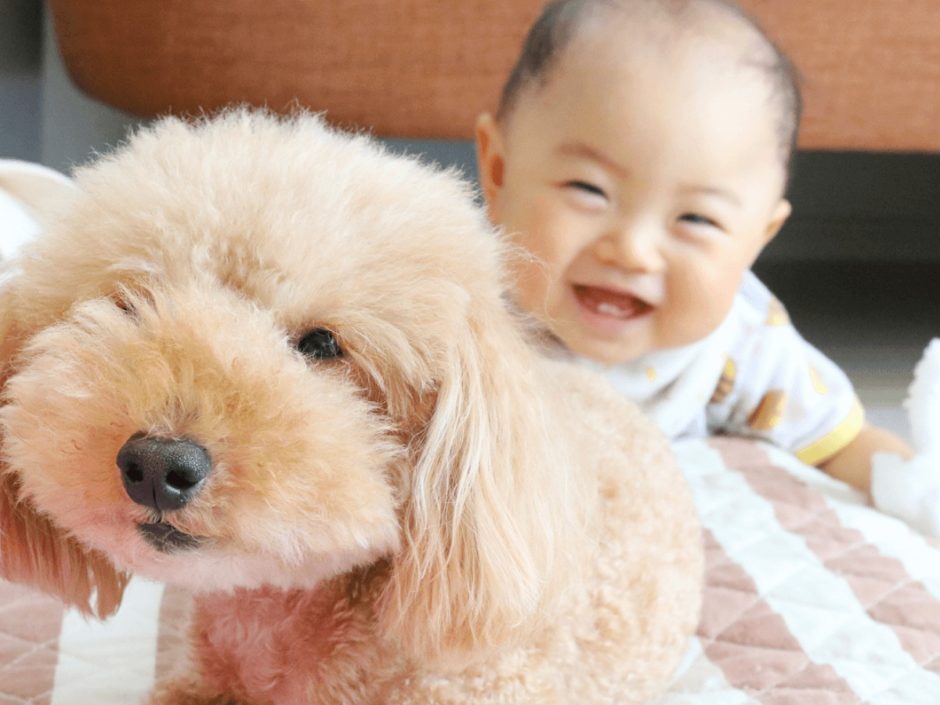赤ちゃんと犬は一緒に暮らしても大丈夫？一緒にいることのメリットと注意点