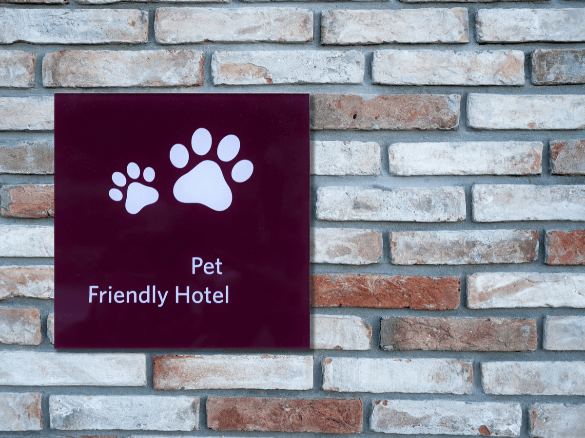 青森にはどんなペットホテルがある？宿泊の詳細やペットと行ける周辺情報をチェック！