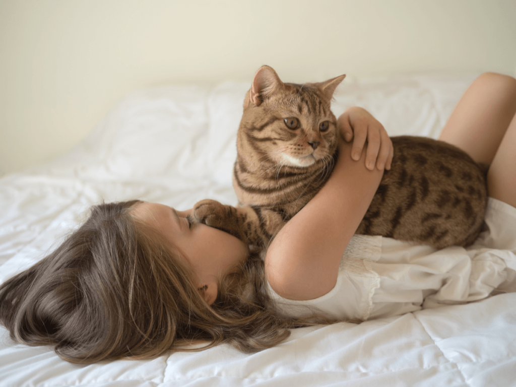 猫が布団に入ってくるかわいい理由 しかし本当は猫と一緒に寝ないほうがいい Poppet ポペット ペット大好き