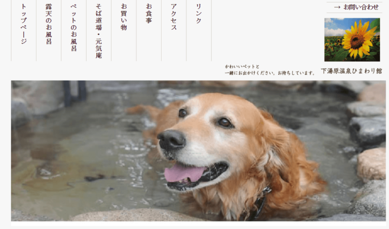 犬も入れる温泉の日帰り可能な13選！全国にあるペット同伴施設を大公開 poppet（ポペット）ペット大好き