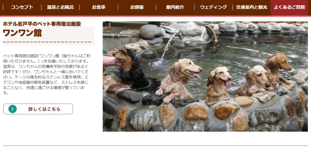 犬も入れる温泉ってあるの？全国にあるペット可の日帰り温泉施設を大公開！