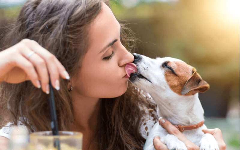 犬が舐めるのは愛情表現だけじゃない？舐める場所で分かる犬の気持ちを知ろう！