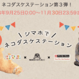 保護猫　ネコダスケ　1投稿1円
