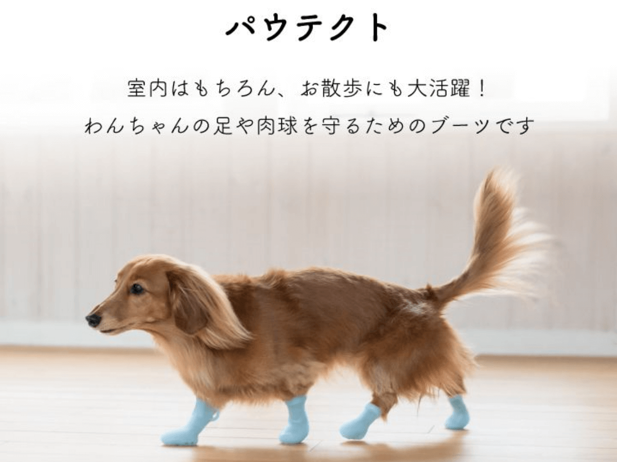 犬用ブーツ　パウテクト