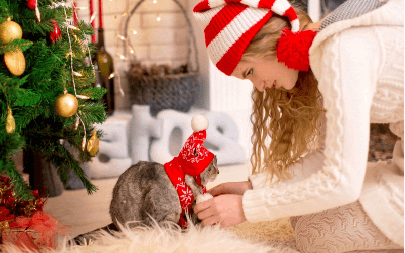 愛猫と一緒にクリスマス