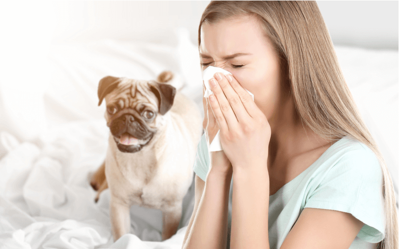 犬 アレルギー