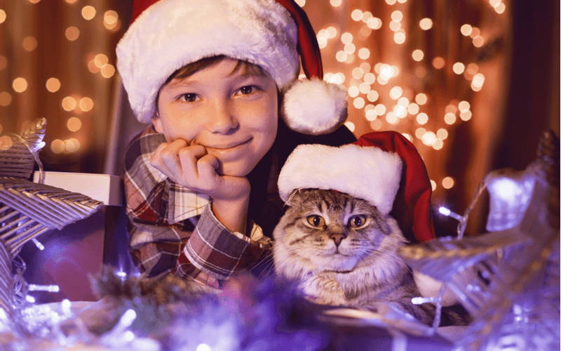 愛猫とクリスマスの記念写真