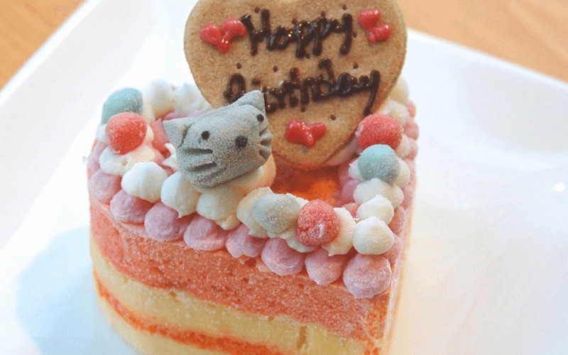 猫用ケーキ　東京
