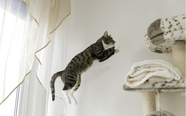 ???????????5?!??????????????????????? | poppet(????)??????