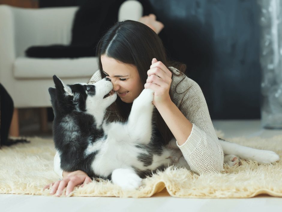 犬の寿命はどんどん延びている 編集部調べ 平均寿命ランキングtop5やギネス記録もご紹介 Poppet ポペット ペット大好き