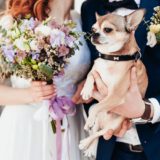 犬 結婚式
